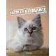 LE SACRE DE BIRMANIE