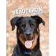 BEAUCERON