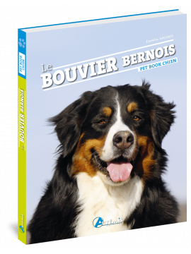 BOUVIER BERNOIS