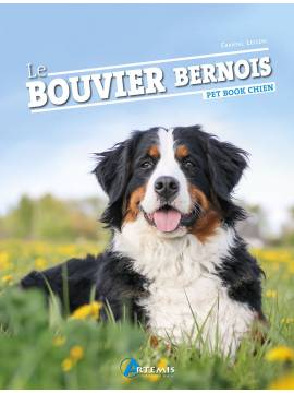 BOUVIER BERNOIS