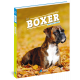 BOXER