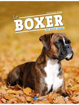 BOXER