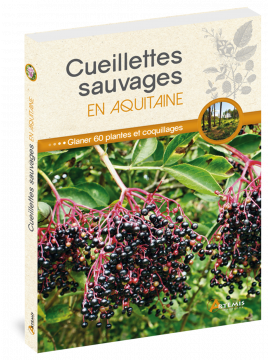 CUEILLETTES SAUVAGES EN AQUITAINE