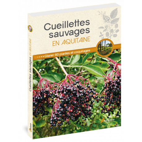 CUEILLETTES SAUVAGES EN AQUITAINE