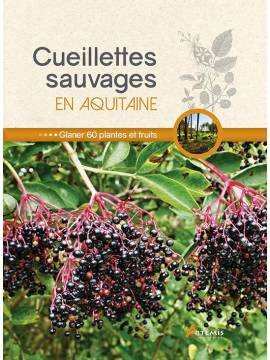 CUEILLETTES SAUVAGES EN AQUITAINE