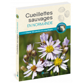 CUEILLETTES SAUVAGES EN NORMANDIE