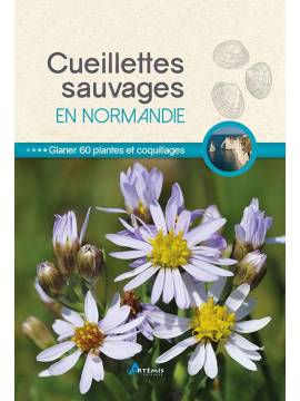 CUEILLETTES SAUVAGES EN NORMANDIE