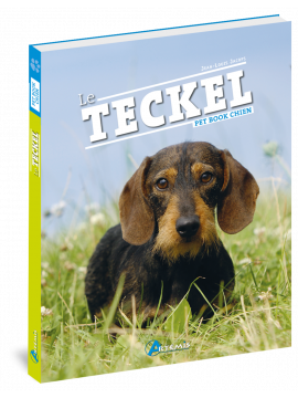 TECKEL