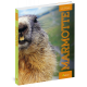 LA MARMOTTE