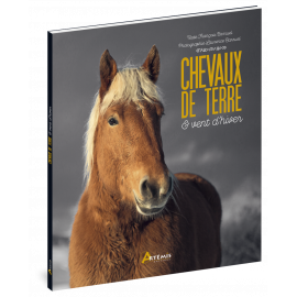 CHEVAUX DE TERRE ET VENT D'HIVER