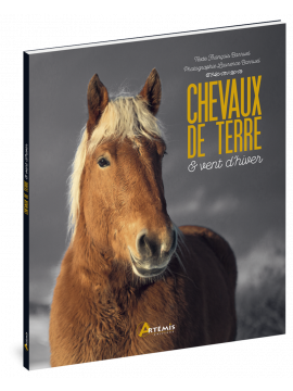 CHEVAUX DE TERRE ET VENT D'HIVER