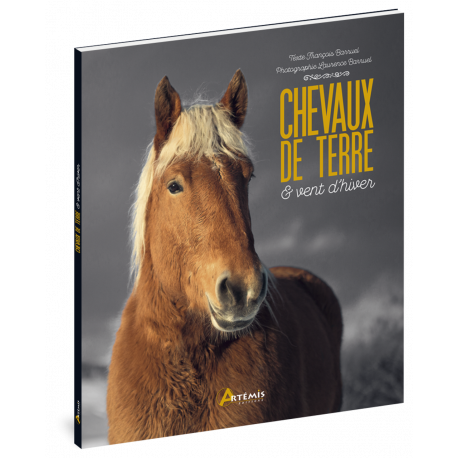 CHEVAUX DE TERRE ET VENT D'HIVER