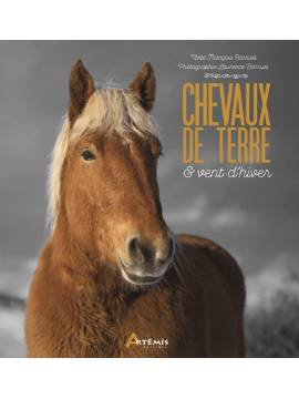 CHEVAUX DE TERRE ET VENT D'HIVER