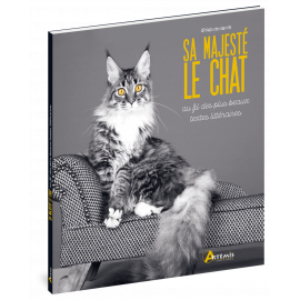 SA MAJESTE LE CHAT