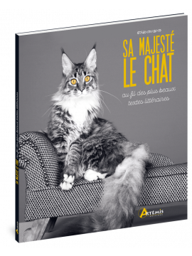 SA MAJESTÉ LE CHAT