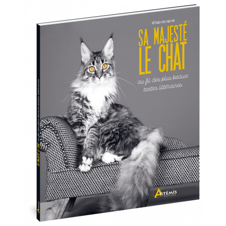 SA MAJESTÉ LE CHAT