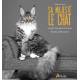 SA MAJESTE LE CHAT