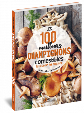 LES 100 MEILLEURS CHAMPIGNONS