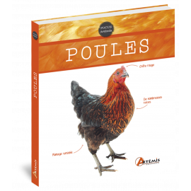 POULES