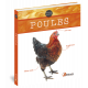 POULES