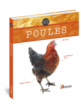 POULES