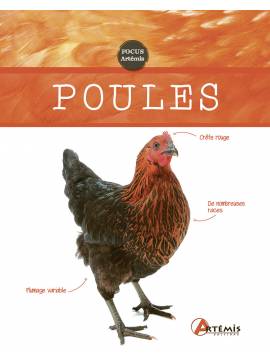 POULES