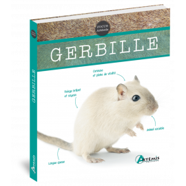 GERBILLE