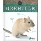 GERBILLE