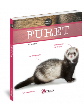 FURET