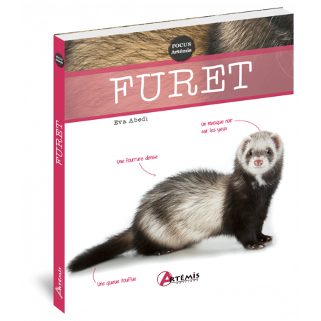 FURET