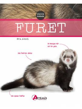 FURET