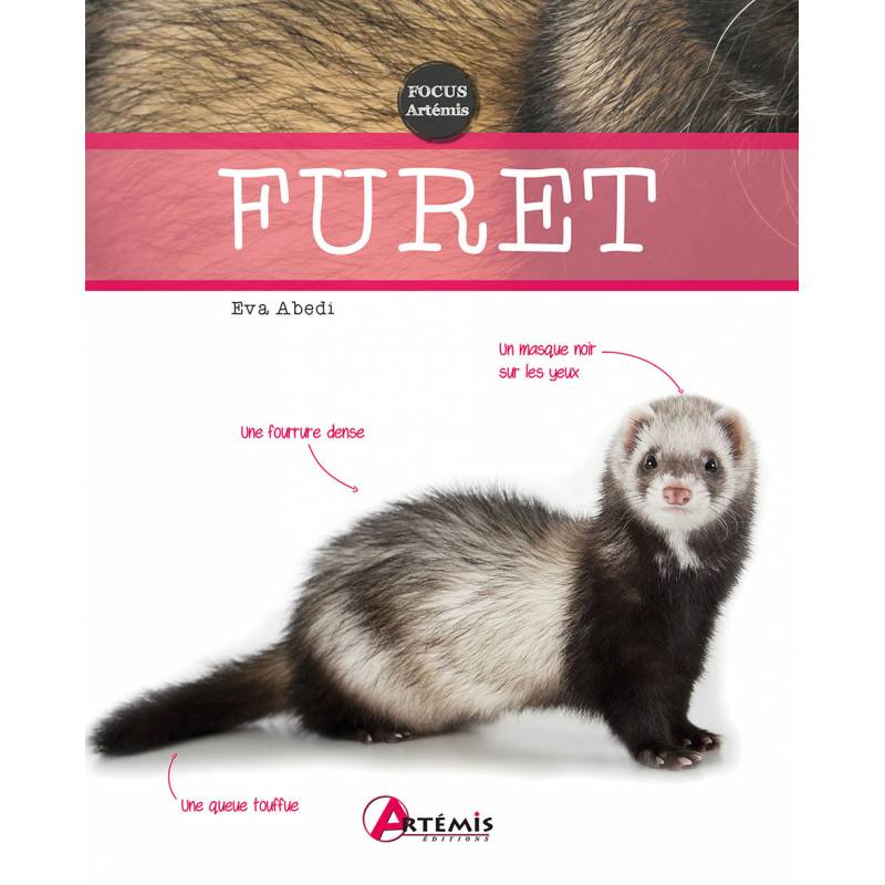 LIVRE FURET