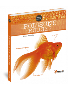 POISSONS ROUGES