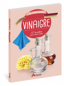 VINAIGRE - 60 RECETTES POUR MIEUX VIVRE