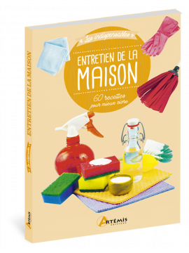 ENTRETIEN DE LA MAISON 60 RECETTES POUR MIEUX VIVRE