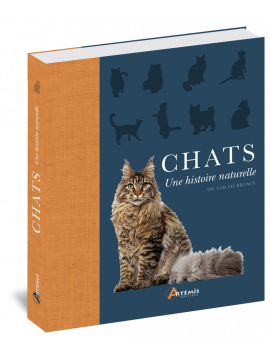 CHATS - UNE HISTOIRE NATURELLE