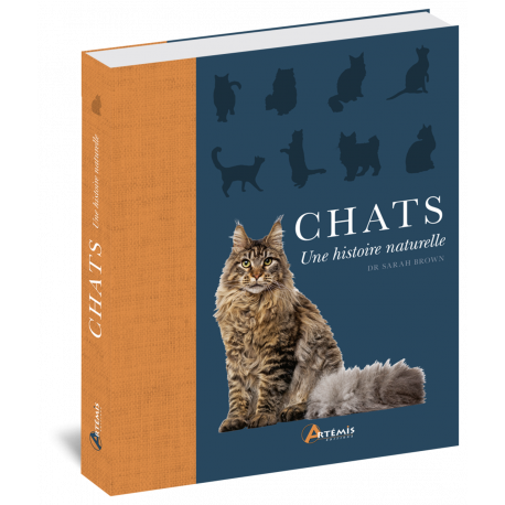 CHATS - UNE HISTOIRE NATURELLE