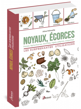 NOYAUX, ÉCORCES LES SURPRENANTES UTILISATIONS