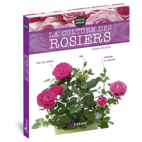 LA CULTURE DES ROSIERS