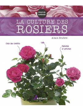 LA CULTURE DES ROSIERS