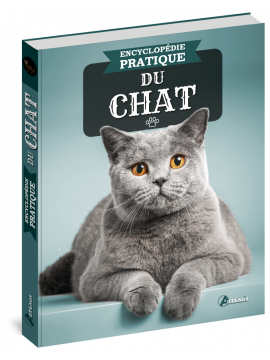 ENCYCLOPEDIE PRATIQUE DU CHAT