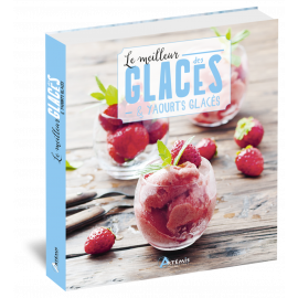 LE MEILLEUR DES GLACES ET YAOURTS GLACES