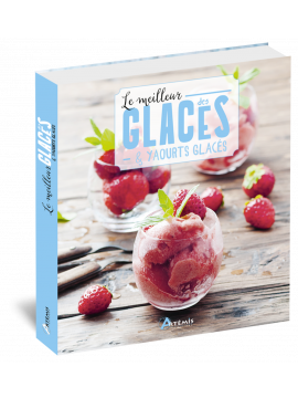 LE MEILLEUR DES GLACES ET YAOURTS GLACES