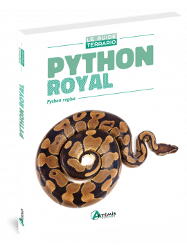 PYTHON ROYAL