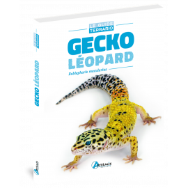 GECKO LEOPARD