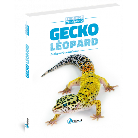 GECKO LEOPARD