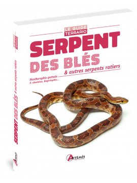 SERPENTS DES BLÉS ET AUTRES SERPENTS RATIERS