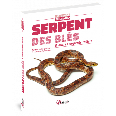 SERPENTS DES BLÉS ET AUTRES SERPENTS RATIERS