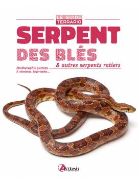 SERPENTS DES BLÉS ET AUTRES SERPENTS RATIERS