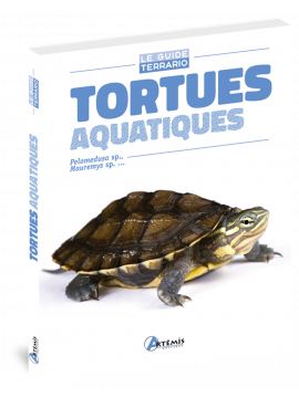 TORTUES AQUATIQUES